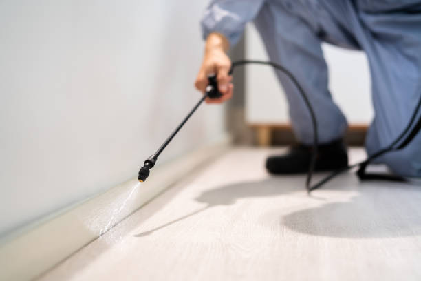 Bed Bug Pre-Treatment Preparation Assessment in Greensboro