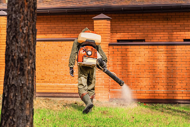 Bed Bug Clearance Verification and Documentation in Greensboro